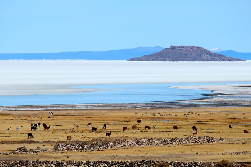 Postcards From The Bolivian Salt Flats Tour