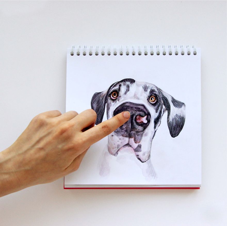 Russian Illustrator Turns Famous Instagram Dogs Into Drawings