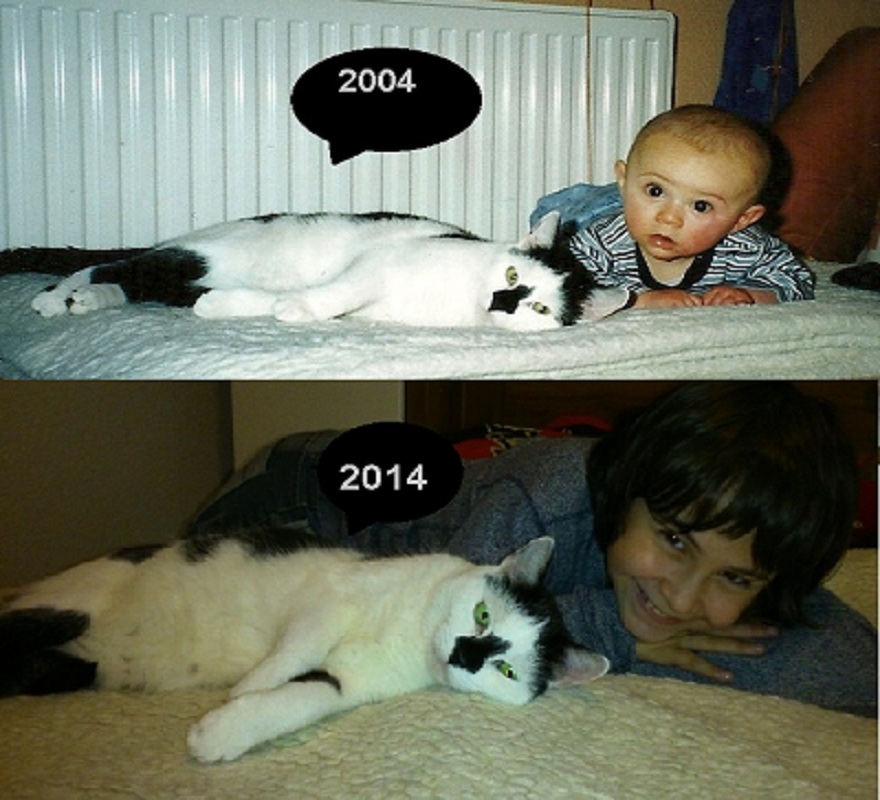 My Soul-cat *babu* ( Died 28.1.15 ) & My Son *ramon* ( 11 Years )