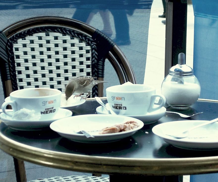 Diffrents Looks Of Coffe !