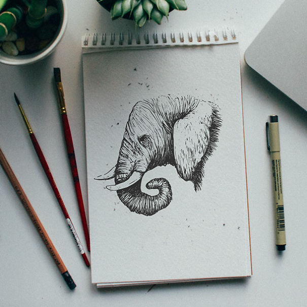 Every Day, I Draw One Animal Letter A Day To Teach My Son The Alphabet |  Bored Panda