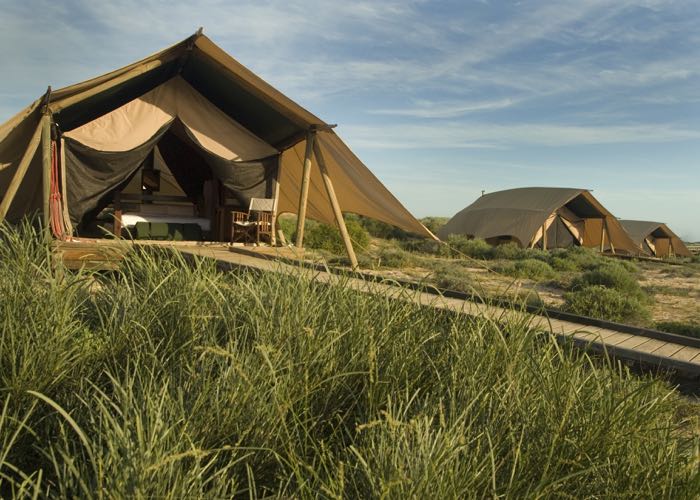 Don't Like Camping? This Luxury Safari Camp Might Change Your Mind!