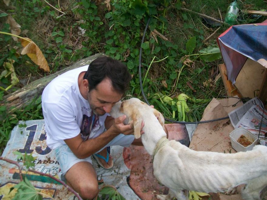 Fighting With Death (photo Story) - A Miracle Rescue Of A Young Pit Bull By Wilson Martins Coutinho
