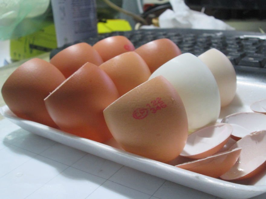 Garden With Eggs
