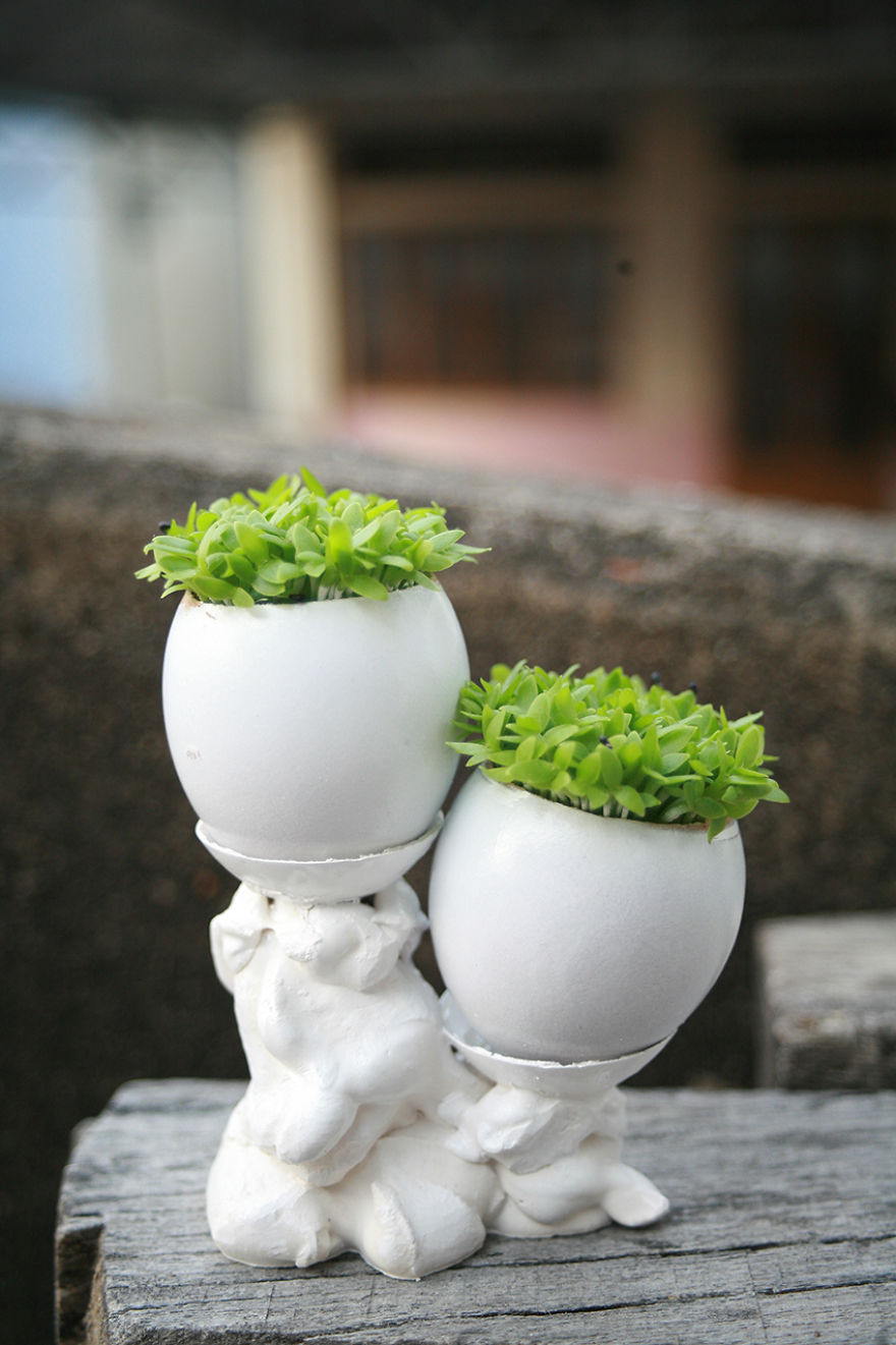 Garden With Eggs