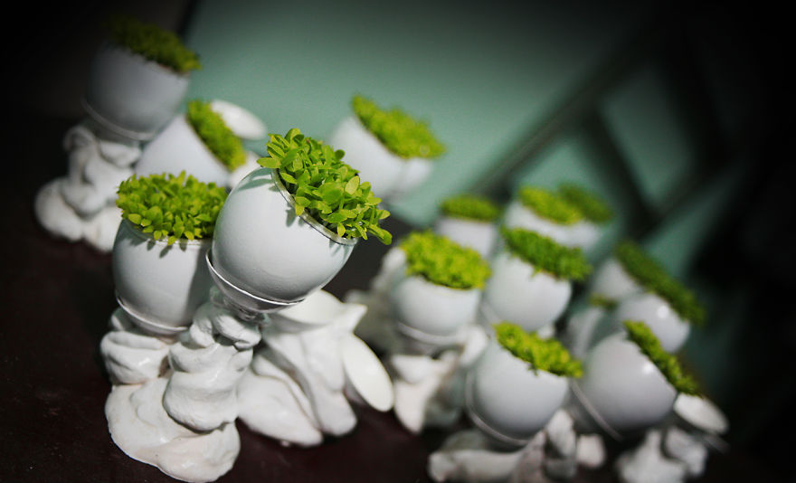 Garden With Eggs