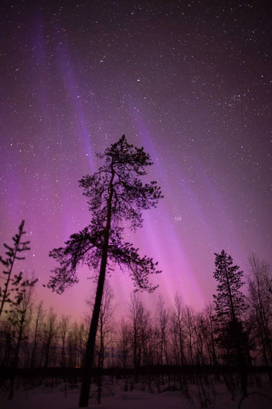 My Pictures Of St. Patrick's Northern Lights In Lapland