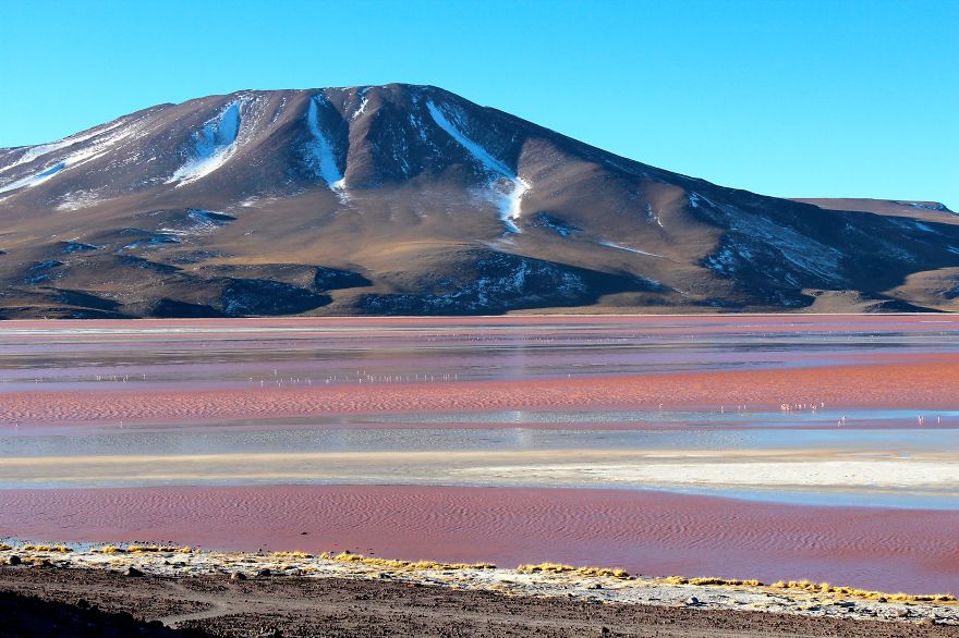 Postcards From The Bolivian Salt Flats Tour