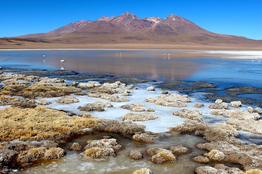 Postcards From The Bolivian Salt Flats Tour