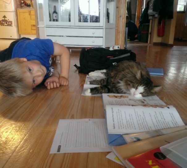Oh Hi Little Human Friend, Let's Rest On The Floor Together And Not Bother With Homework! :)