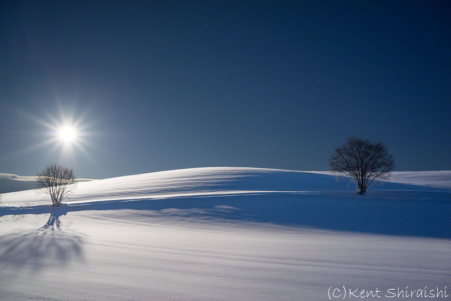 Include The Sun - Hokkaido's Trees And Hill.