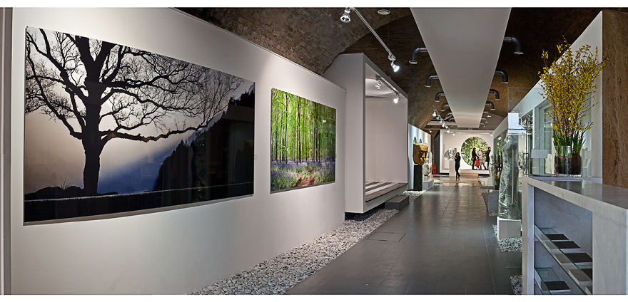 Interact With These Large-scale Images Of Forests &amp; Woodlands Like Never Before.