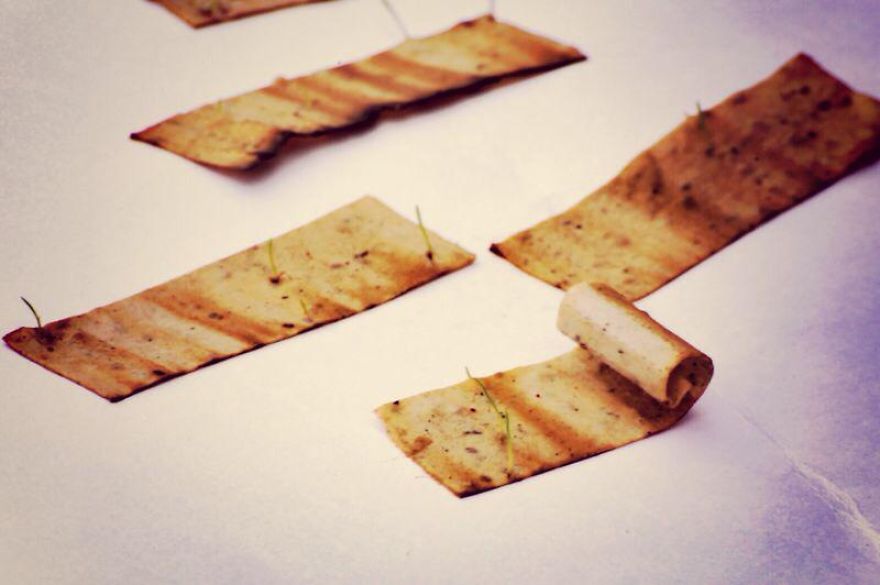 Biodegradable Cigarette Filters Embedded With Seeds Grow Into Trees When Thrown Away