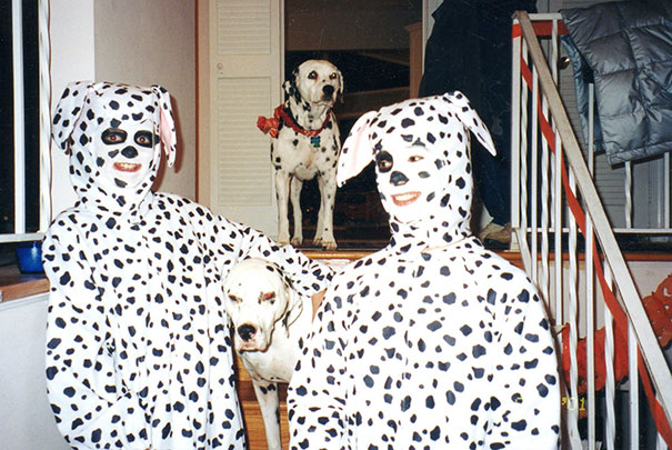 Spot The Embarrassed Dalmatians