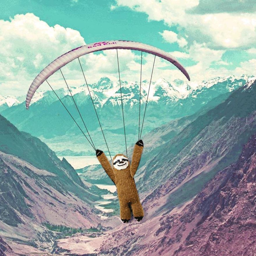 Meet Super Sloth: The Worlds Most Famous Woolen Adventurer