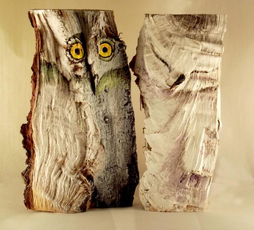 Owls On Wooden Logs