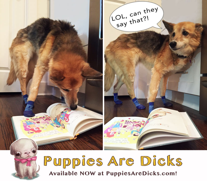 Puppies Are Dicks Available Now!
