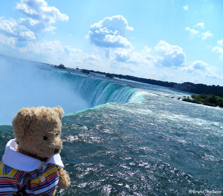 Everything Is Pawsibble: Pictures Of Bruno The Bear Travelling The World