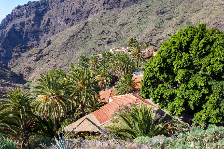 Tenerife, An Island For A Lifetime