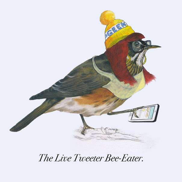 Funny Illustrations Of Hipster Birds