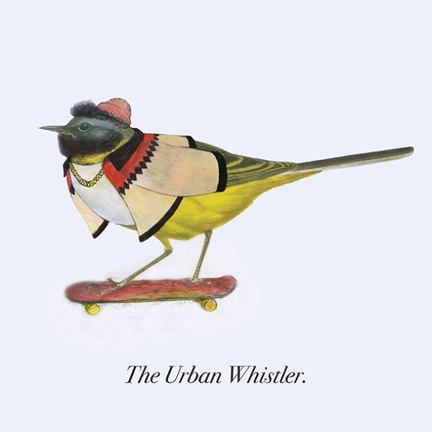 Funny Illustrations Of Hipster Birds