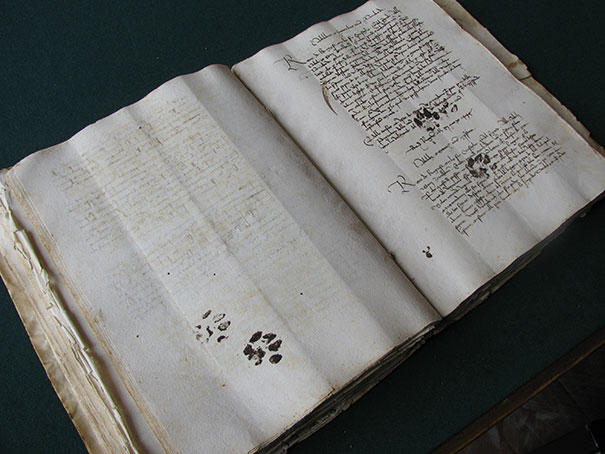 Pages Ruined By Some 15th Century Cat