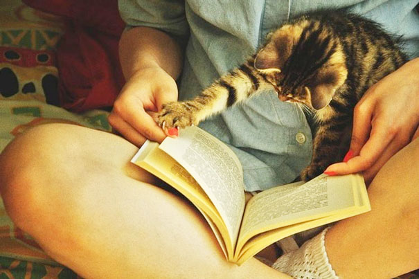 Usually The Cat Is On The Other Side Of The Book Gnawing The Edges