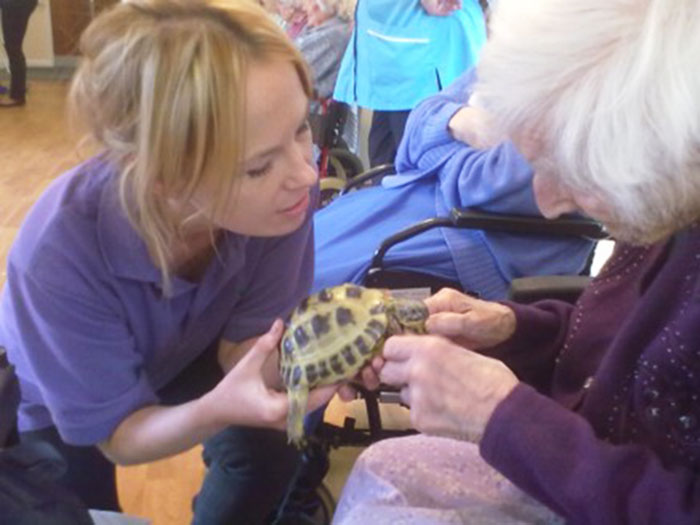 We Bring Giant Snails, Lizards, And Owls To Retirement Homes To Brighten Seniors' Lives