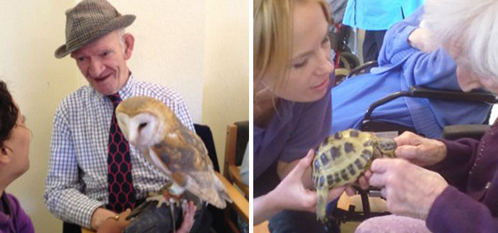 We Bring Giant Snails, Lizards, And Owls To Retirement Homes To Brighten Seniors’ Lives