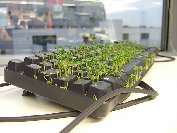 Plant A Grass Garden In Your Coworker’s Keyboard