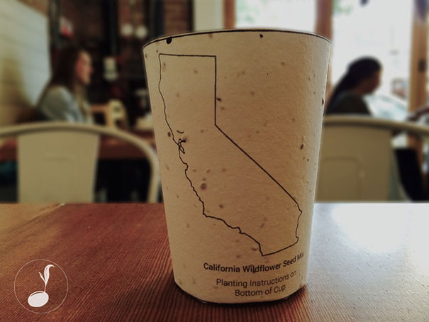 Biodegradable Coffee Cups Embedded With Seeds Grow Into Trees When Thrown Away