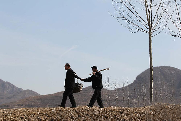 blind-man-amputee-plant-trees-china-1
