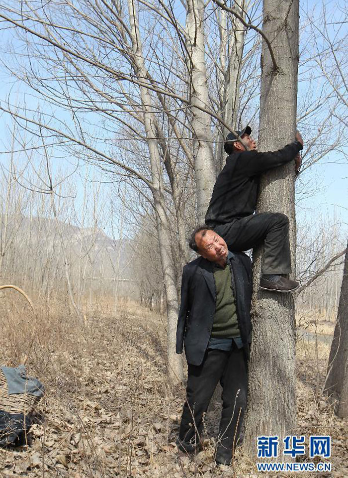 blind-man-amputee-plant-trees-china-3