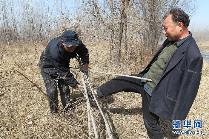 blind-man-amputee-plant-trees-china-4