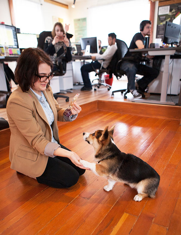 Buster, Is Six Months Old Now, And It’s Been An Action-packed Journey Already For All Of Us In The Office