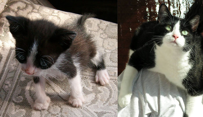 Bubo, The Day We've Found Her In A Petshop (she Was Brought There By Someone), And Today :)