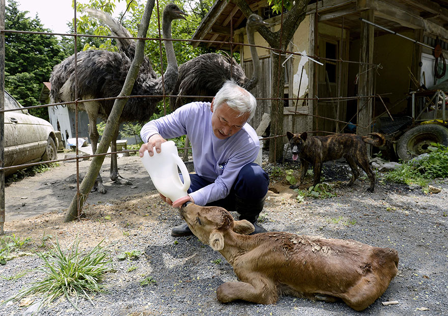 The Radioactive Man Who Returned To Fukushima To Feed The Animals That  Everyone Else Left Behind | Bored Panda