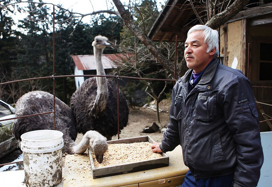 The Radioactive Man Who Returned To Fukushima To Feed The Animals That Everyone Else Left Behind