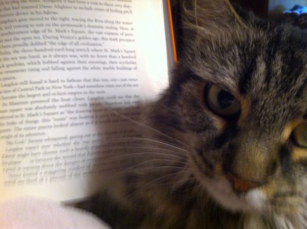 Lily Aka Stealth Nook Page Turner