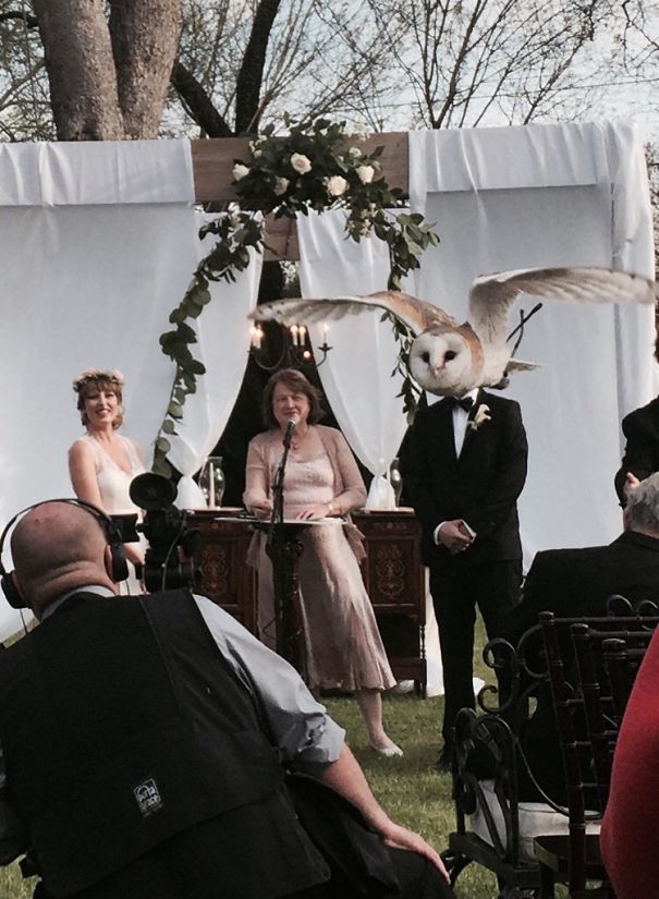 Woman Marries Owl