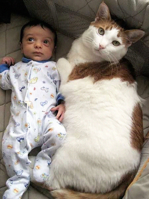 Baby And Cat