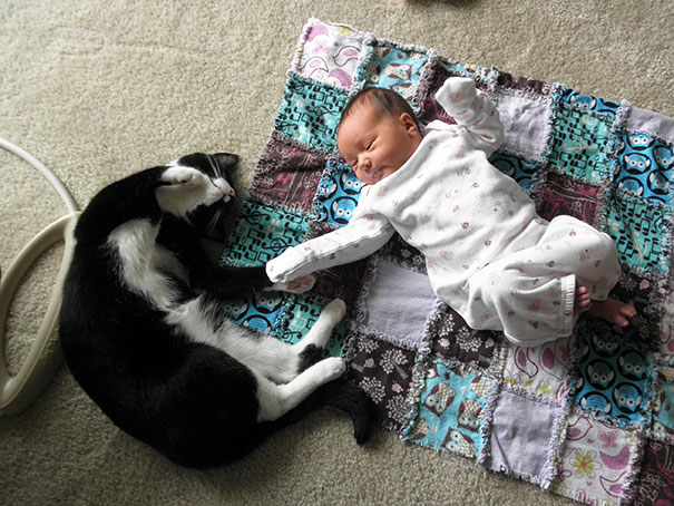 My Cat Plopped Down And Held Hands With My Newborn Baby Girl