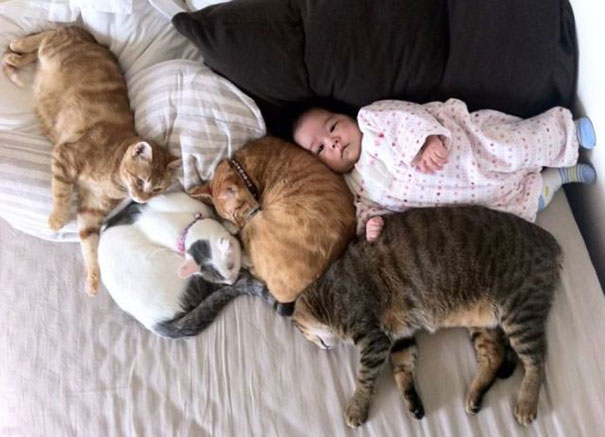 Baby With Cats
