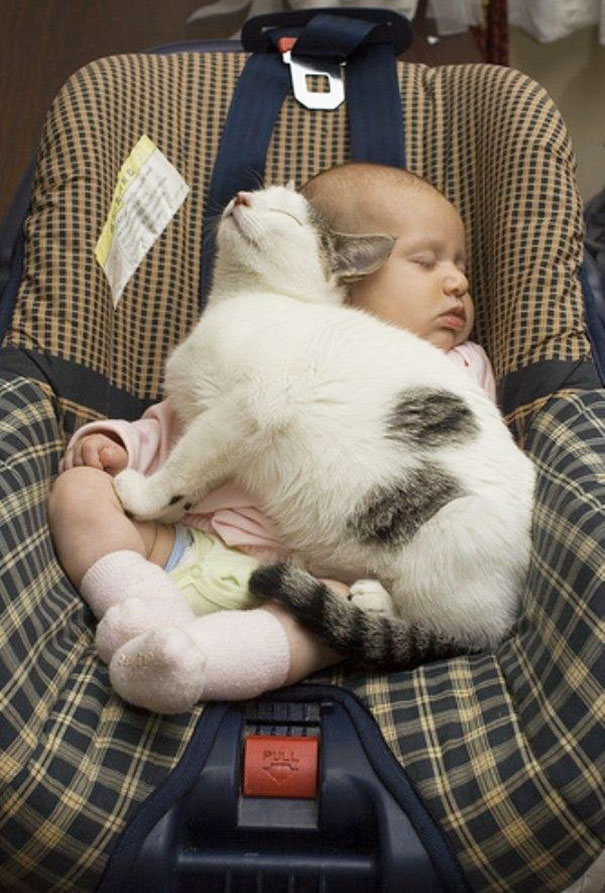 Baby Sleeping With A Cat
