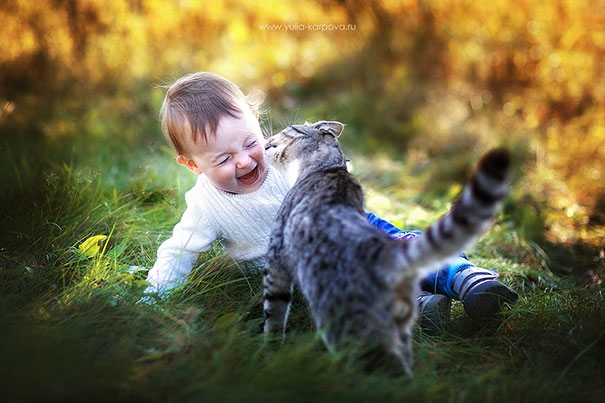 Cat Kissing A Child