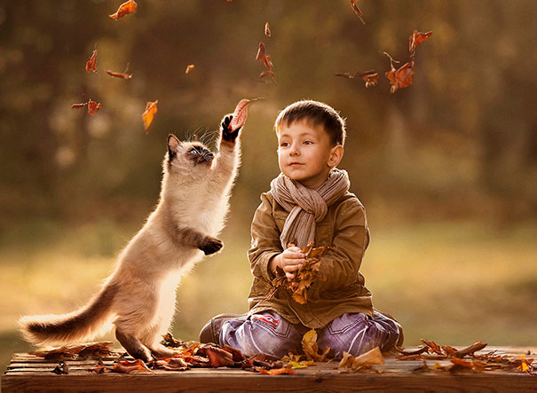 A Child Playing With A Cat