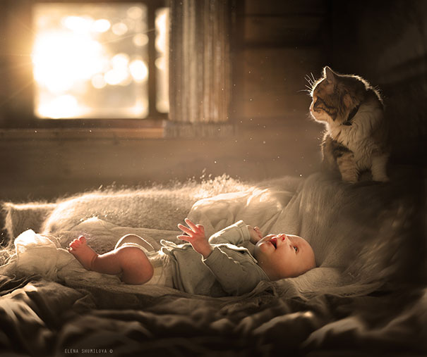 Baby With A Cat