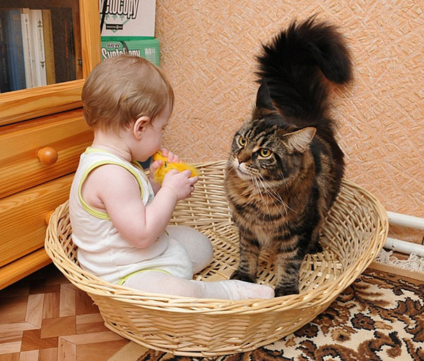 Child With His Cat