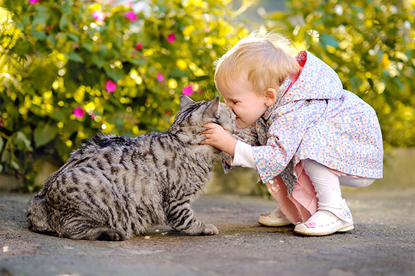 persahabatan bayi dan kucing