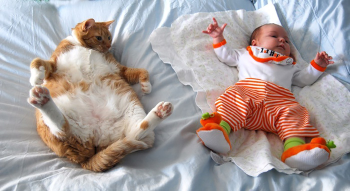 50 Adorable Photos Proving That Your Kids Need A Cat